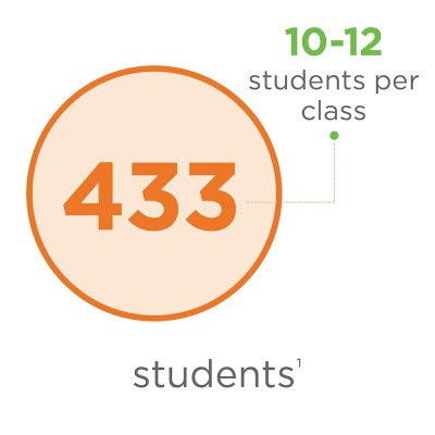 Summer lit data 2025 FEB14 statewide 445